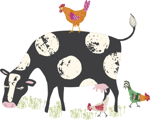 Modern Cow Illustration, Chicken Illustration, Farm Illustration, Rachael Grainger Design and illustration, licensing, selling & creating colourful, uplifting artwork for all areas of surface design