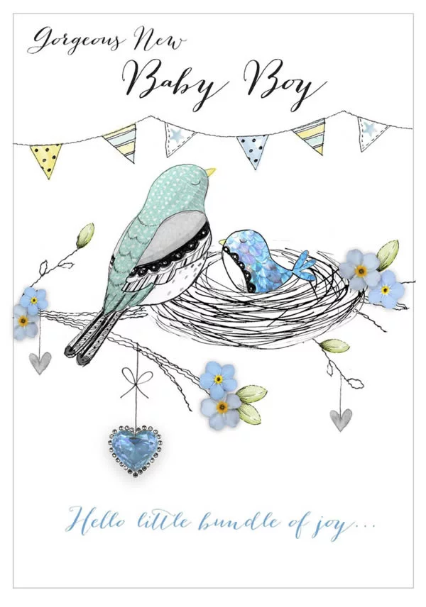 Baby Boy Blue Bird Greetings Card Published by ©Second Nature